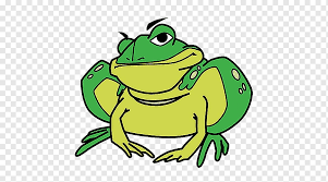 Toad Oracle